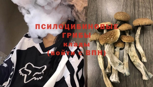 марки lsd Алексеевка