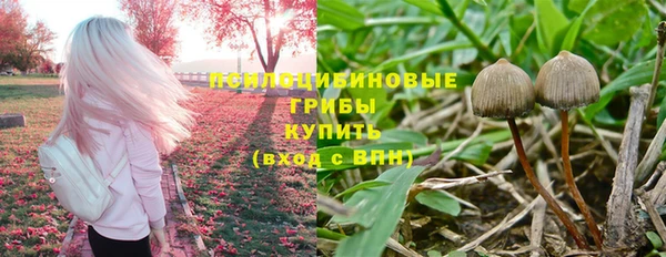 скорость Алзамай
