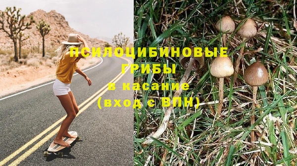 скорость Алзамай